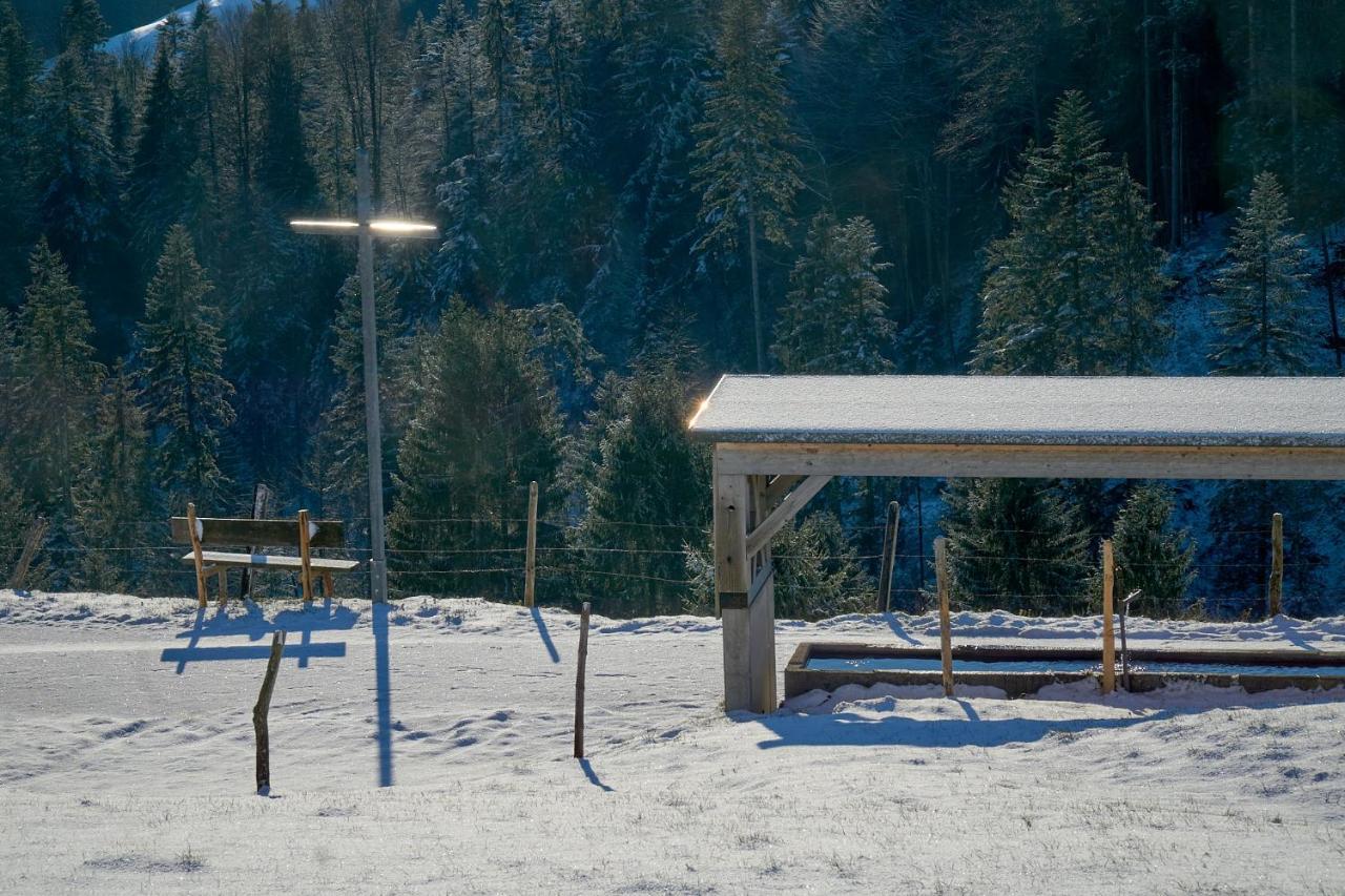 Unser Vorsaess - Geisskopf Schwarzenberg im Bregenzerwald Bagian luar foto